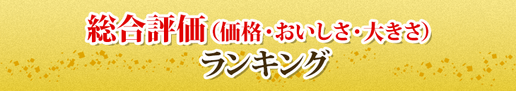 総合評価ランキング